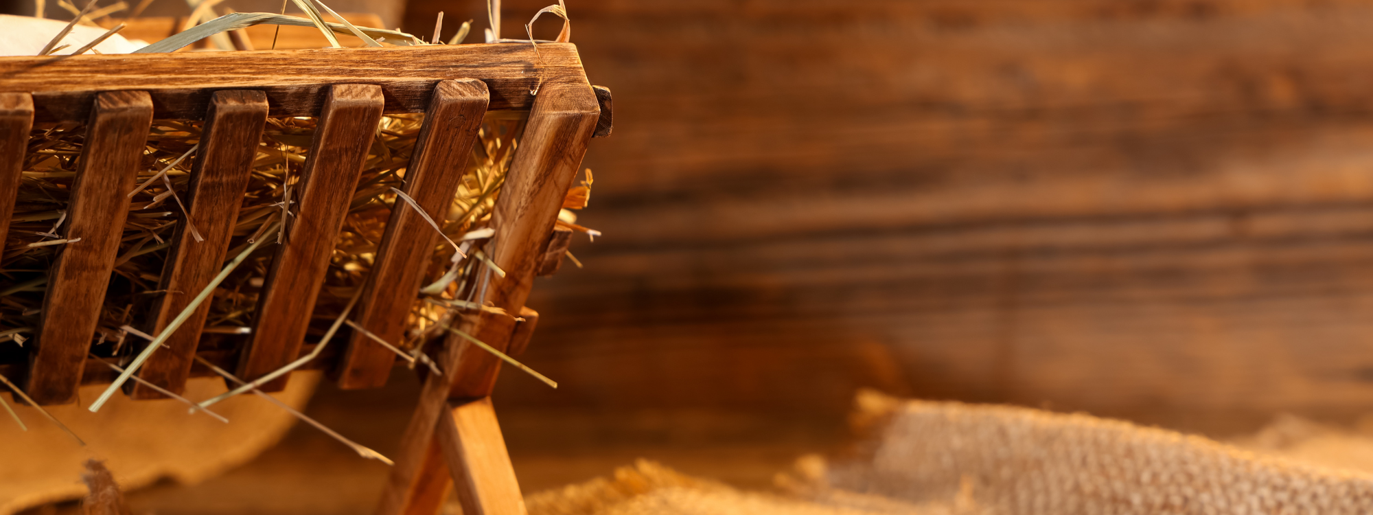 A Saviour has been born to you*Talks in Luke 1 & 2*Sundays at 6pm