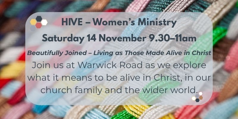 Hive 14 November feature