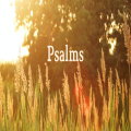 Summer Psalms 