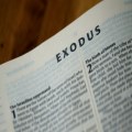 Exodus 35: 20-29